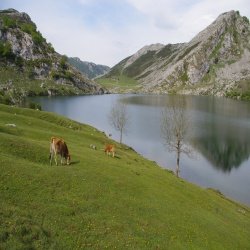 foto Asturias, paisaje Asturias